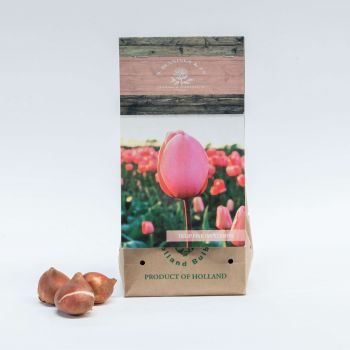 Estland Online blomsterbutikk - Rosa inntrykk Bukett