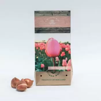 Dammam-virágok- Rózsaszín benyomás Virág Szállítás
