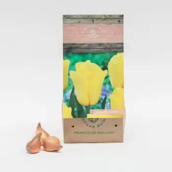 Calheta online virágüzlet - Erős arany Csokor