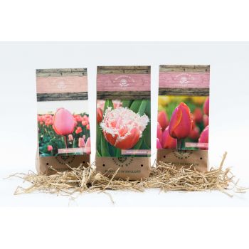 Нерха цветы- Коробка с тюльпанами, маленькая Цветочный букет/композиция
