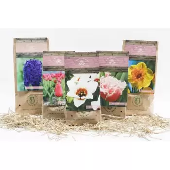 Rom kedai bunga online - Kotak Bunga Kecil Sejambak