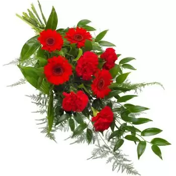 Gent cveжe- obožavanje Cvet Dostava