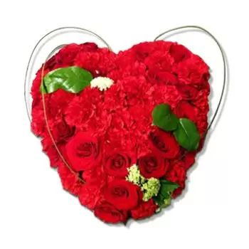 بائع زهور أوسلو- قلب أحمر زهرة التسليم