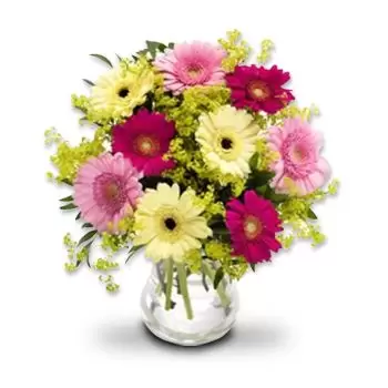 Bogstad-virágok- Színes germinis Virág Szállítás