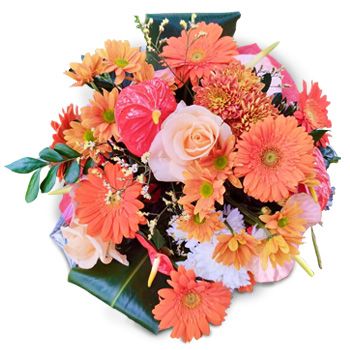Morcellement Sanktt André blommor- Bunt av lycka Blomma Leverans