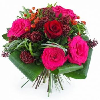בובעקה חנות פרחים באינטרנט - זר עגול אדום ופוקסיה נירנברג זר פרחים