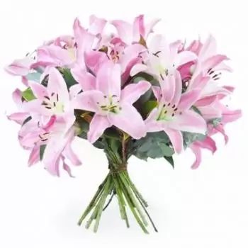 بائع زهور باس بوانت- باقة زنبق بروكسل الوردي زهرة التسليم