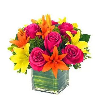 Adonis-virágok- Ékszerek és drágakövek Virág Szállítás