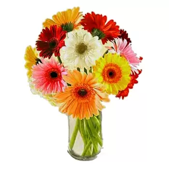 Mijas / Mijas Costa květiny- Denní snění Květ Dodávka