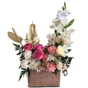 fleuriste fleurs de Colline Beau Bassin-Rose- Couleurs légères de plaisir Fleur Livraison