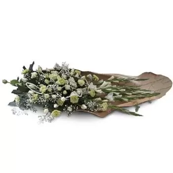 מאוריציוס פרחים- השלום האחרון פרח משלוח