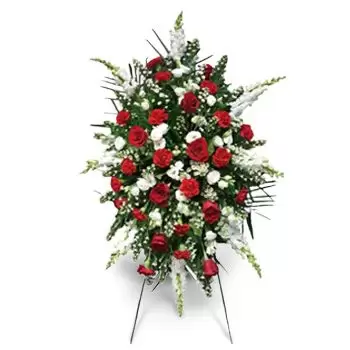 הונדורס פרחים- סידור חצובה פרח משלוח