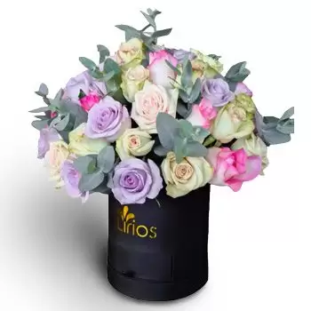 El Progreso flowers  -  Secret Stems Flower Delivery