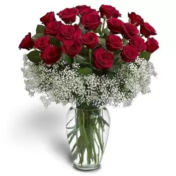 بائع زهور هندوراس- زهور حمراء رائعة زهرة التسليم