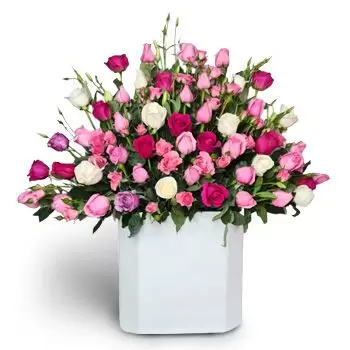 flores de Ciudad Choluteca- Acordo de sentimento Flor Entrega