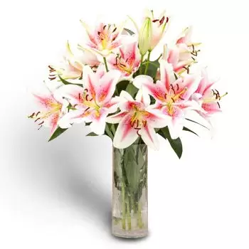 הונדורס פרחים- ניצנים מתוקים  פרח משלוח