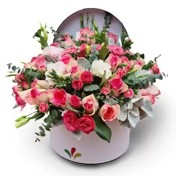 Danlí cvijeća- Ružičasta fuzija Cvijet Isporuke