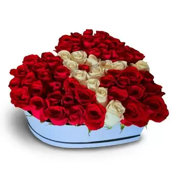 לאס טרוג'ס פרחים- מראה אסתטי פרח משלוח