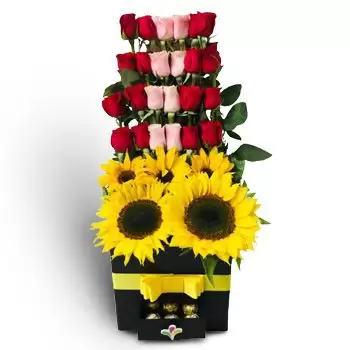 Azacualpa פרחים- אהבה מורחבת פרח משלוח