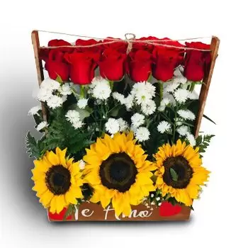 La Paz kwiaty- Klasyczny czerwony Kwiat Dostawy