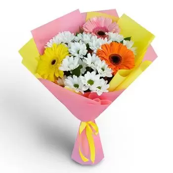 بائع زهور بوريكي- الايجابيات البتلة زهرة التسليم