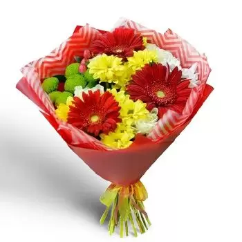 בלסטיקה פרחים- זר שמש פרח משלוח