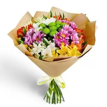 Bosulja Blumen Florist- Funky Blumenstrauß Blumen Lieferung