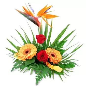 Balgarovo פרחים- כֵּנוּת פרח משלוח
