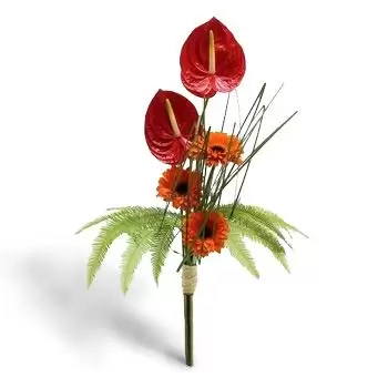 Bosilkovci λουλούδια- Flor Amor Λουλούδι Παράδοση