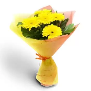Basarbovo פרחים- זמן חגיגה פרח משלוח