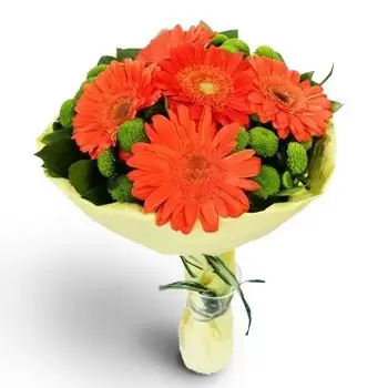 Brjastovec bunga- Bunga Niat Baik Bunga Pengiriman