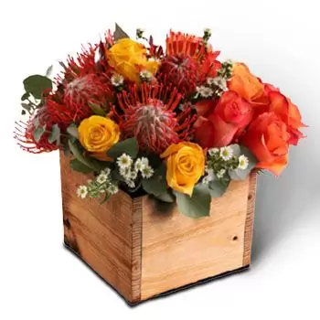 South Africa flowers  -  Pincushion  Box Flower Delivery