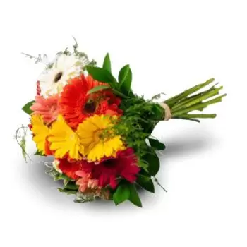 Clydesdale bloemen bloemist- Afrikaans madeliefje. Bloem Levering
