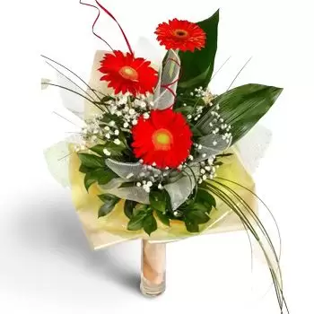보주르카 꽃- 레드 터치 꽃 배달