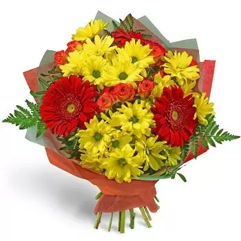 ברטניקה פרחים- סידורים נפלאים פרח משלוח