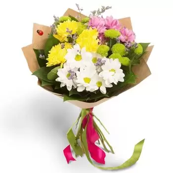 אנג'ל וויבודה פרחים- קיץ צבעוני פרח משלוח