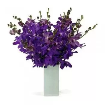 לה אלטגרסיה חנות פרחים באינטרנט - Elegance B! זר פרחים