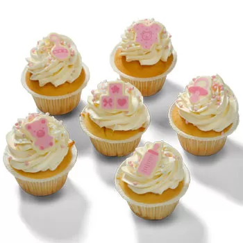 Utrecht bloemen bloemist- Cupcakes 'Het is een meisje'