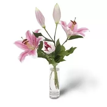 fleuriste fleurs de Akacievo- Vol de papillon monarque Fleur Livraison