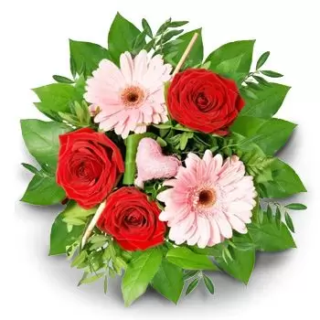 Bogutevo Blumen Florist- Freundschaft Blumen Lieferung