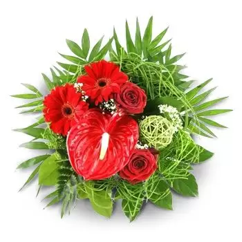 Brezani blomster- Suppler buket Blomst Levering