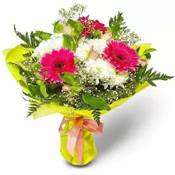 Mezdra Blumen Florist- Ziemlich weiß & rosa Blumen Lieferung