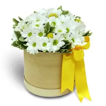 בראדווארי פרחים- פשוט אלגנטי פרח משלוח