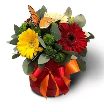 Bodrovo Blumen Florist- Eine Schachtel Blumen Blumen Lieferung