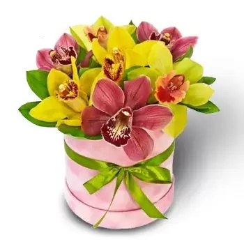בורינובו פרחים- ריחות מקסימים פרח משלוח
