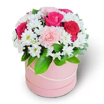 ביאלה צ'רקווה פרחים- גנים עם קופסאות פרח משלוח