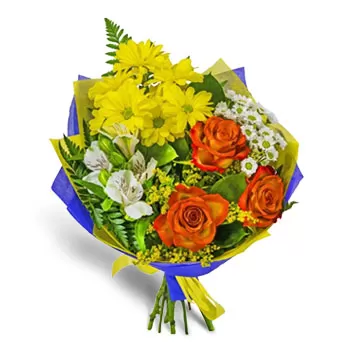 Brjastovec Blumen Florist- Frische Farben Blumen Lieferung