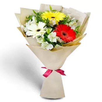 Brestovica פרחים- טווח כרומטי פרח משלוח