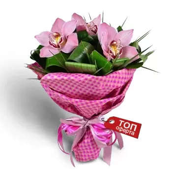 بائع زهور بوزوريكا- الحساسية الدخيلة زهرة التسليم