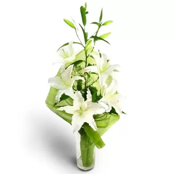 Bozenica Blumen Florist- Netter e-Gruß Blumen Lieferung